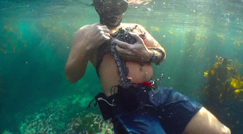 Hugging Octopus A snorkeler hugging the Octopus that he had befriended: